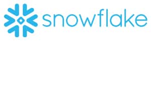 Partners_Snowflake